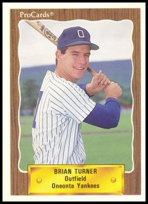 3374 Brian Turner